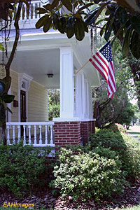 Pasco County Area News