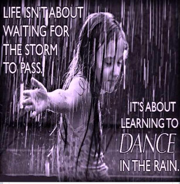 rain1774969136379718 n